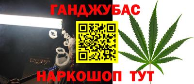стаф Лесосибирск