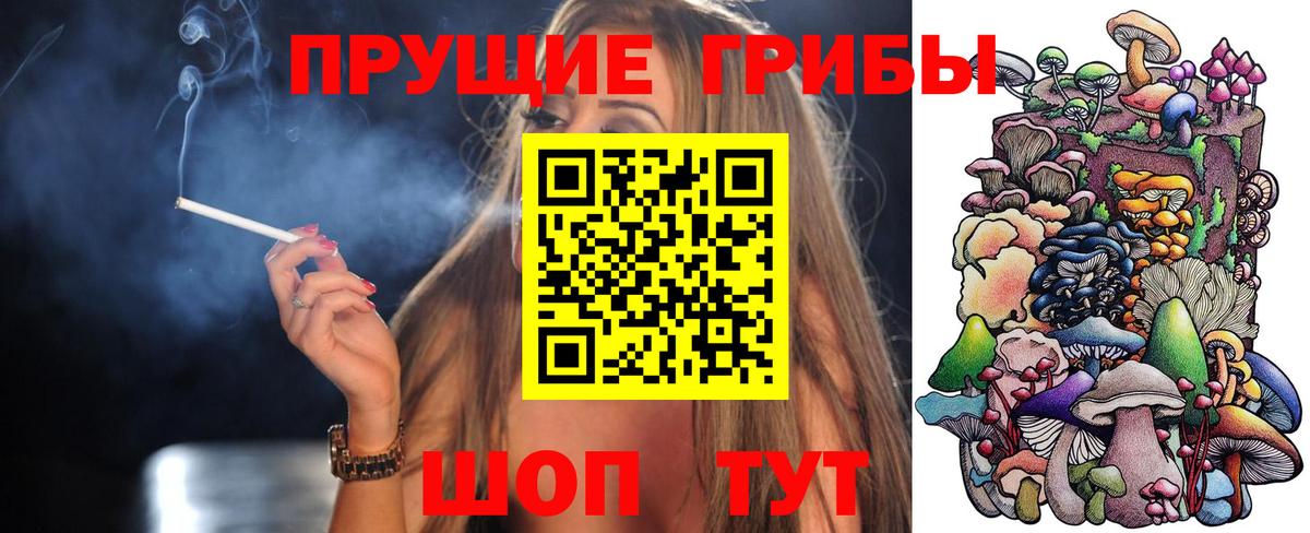 Галлюциногенные грибы мухоморы  Вход с VPN  Галлюциногенные грибы GOLDEN TEACHER  Зеленокумск 