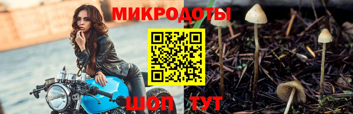 Галлюциногенные грибы Psilocybine cubensis Зеленокумск